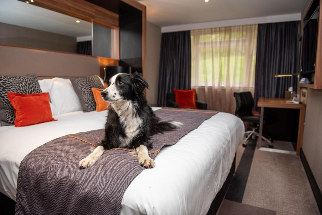 Crowne Plaza Gerrards Cross By Ihg Hotel Beaconsfield Buitenkant foto