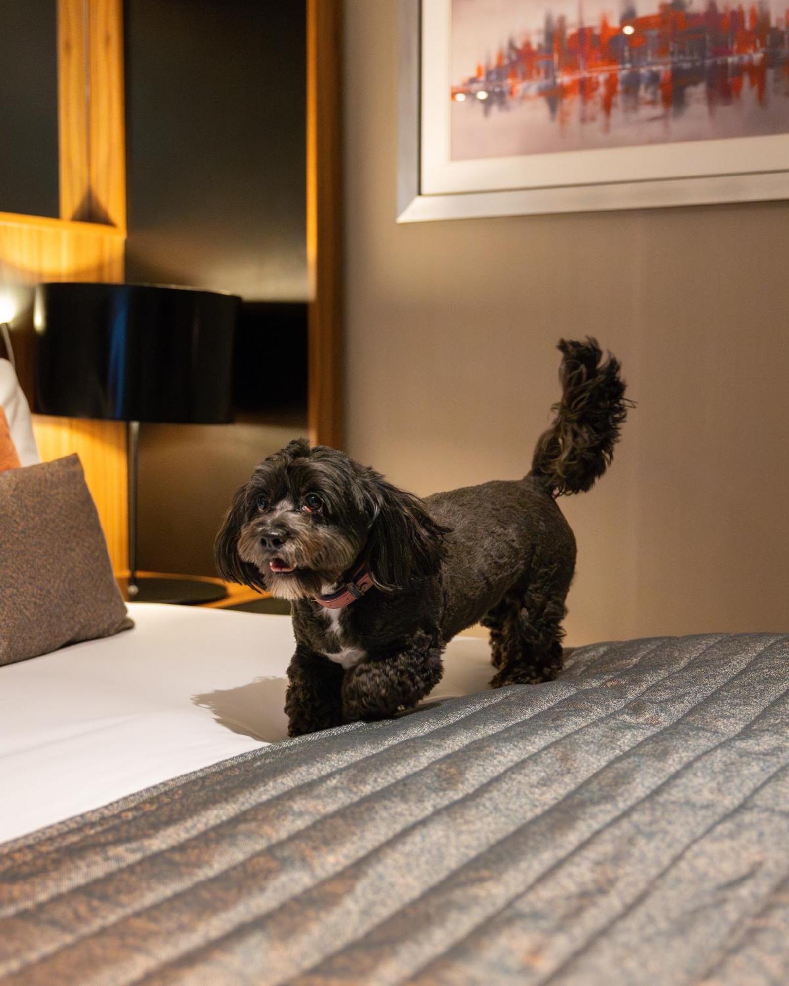 Crowne Plaza Gerrards Cross By Ihg Hotel Beaconsfield Buitenkant foto